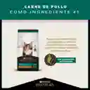 Comida para Gatitos Purina Pro Plan x 7,5 kg