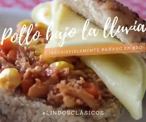 Pollo Bajo la Lluvia