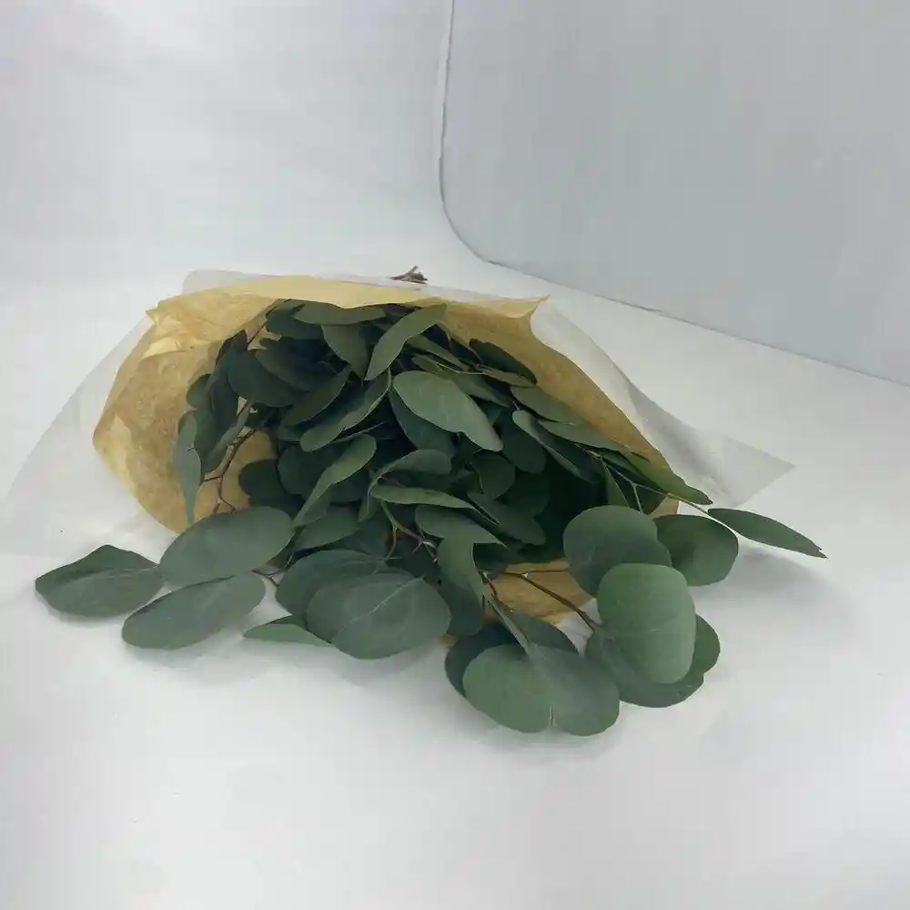 Ramo Foliages Sin Ref