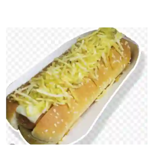 Perro Oliver Atom Sencillo