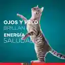 Comida húmeda para gatos Esterilizados Purina One sabor a Carne x 85gr