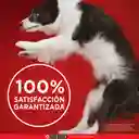 Comida para perro Purina One adultos minis y pequeños Pollo y Cordero X 3,5kg