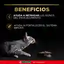 Comida para Gatos Adultos mayores de 7 años Purina Pro Plan x 3 kg