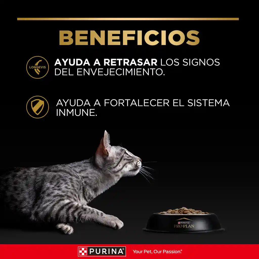 Comida para Gatos Adultos mayores de 7 años Purina Pro Plan x 3 kg