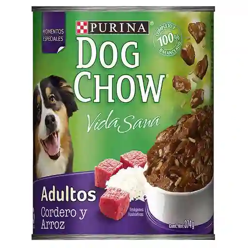 Dog Chow Cordero Y Arroz 374 g