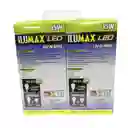 Ilumax Led Bombilla Luz Blanca x 2 Unidades