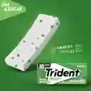 Trident Chicle Sin Azúcar Yerbabuena