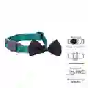 Collar Ajustable Para Gato Michi Verde