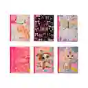 Cuaderno Norma 100 Hojas Linea Corrient Fem Surtido