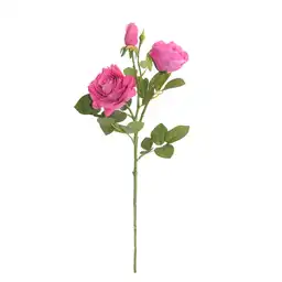 Rosas Gio Home Malva 3 Und