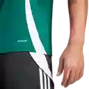 Adidas Camiseta Tiro24 Jersey Equipo Fútbol Hombre Verde Talla S