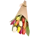 Cono de Tulipanes de Colores