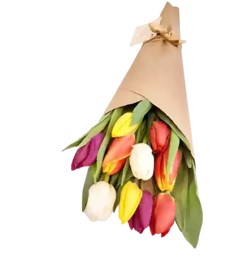 Cono de Tulipanes de Colores