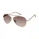 Gafas 100% uv Mujer Oro Rosa x60100 Tommy Hilfiger