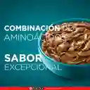 Comida para Gatitos y gatos adultos Purina One sabor a Salmón, atún y pescado blanco x 85gr