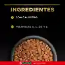 Comida para Perros cachorros razas pequeñas Purina Pro Plan x 1 kg