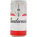 Budweiser Cerveza
