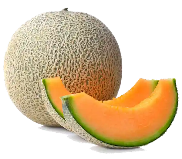 Melon