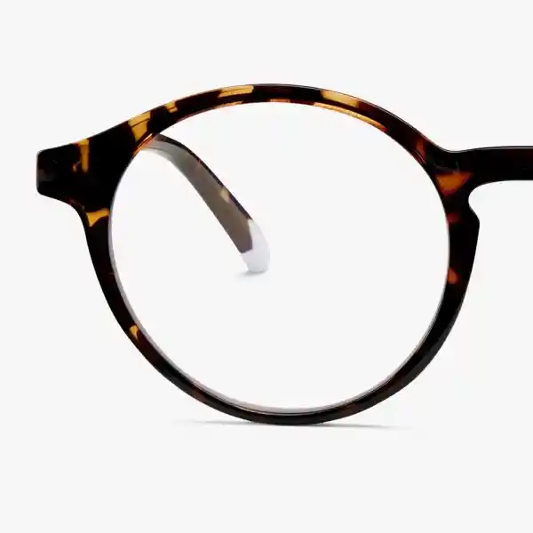 Barner Gafas Reading Marais Carey + 3.00