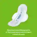 Toalla Femeninas Kotex Normal 10 Und + 2Und