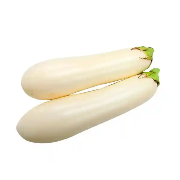 Berenjena Blanca