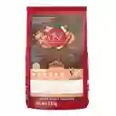 Comida para perro Purina One adultos minis y pequeños Pollo y Salmón X 3,5kg