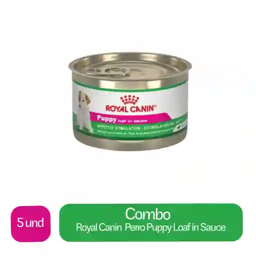 5 x Royal Canin Alimento Para Perro Puppy Loaf in Sauce