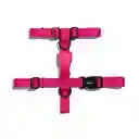 Zeedog Arnés Pink Led Talla S H