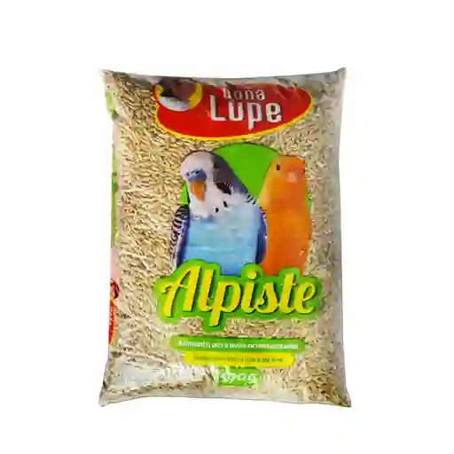 Doña Lupe Alpiste