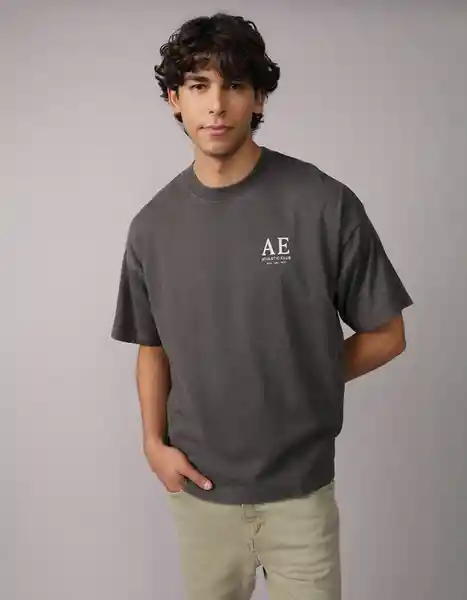 Camiseta Hombre Gris Talla Medium 4684023 American Eagle
