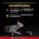 Comida para Gatitos Purina Pro Plan x 7,5 kg