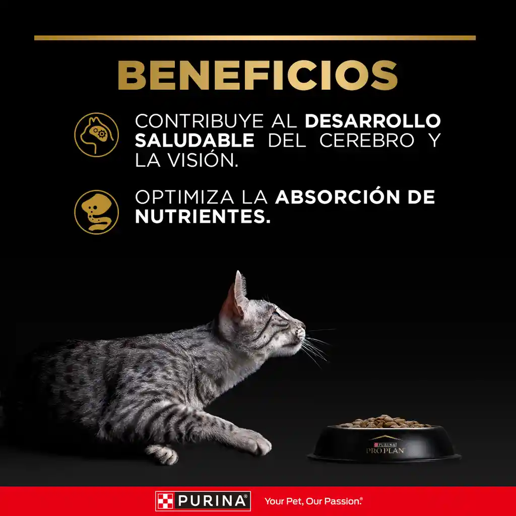 Comida para Gatitos Purina Pro Plan x 7,5 kg