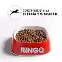 Ringo Alimento Perro Adulto
