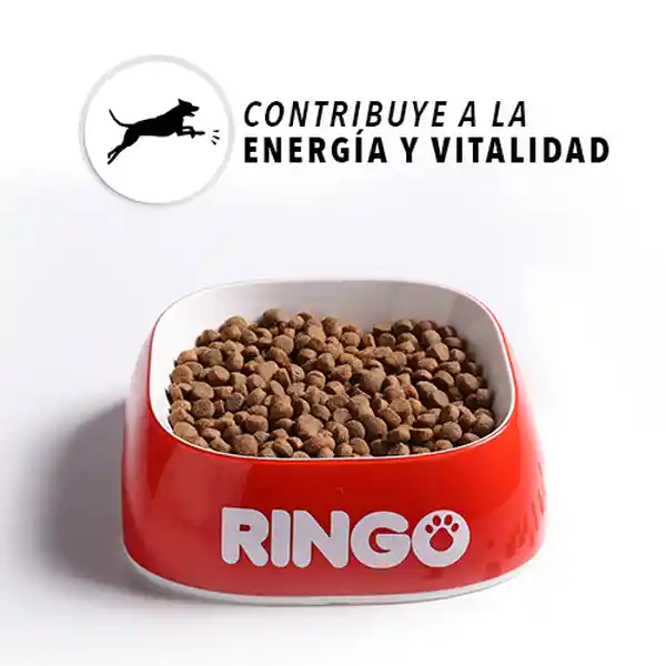 Ringo Alimento Perro Adulto