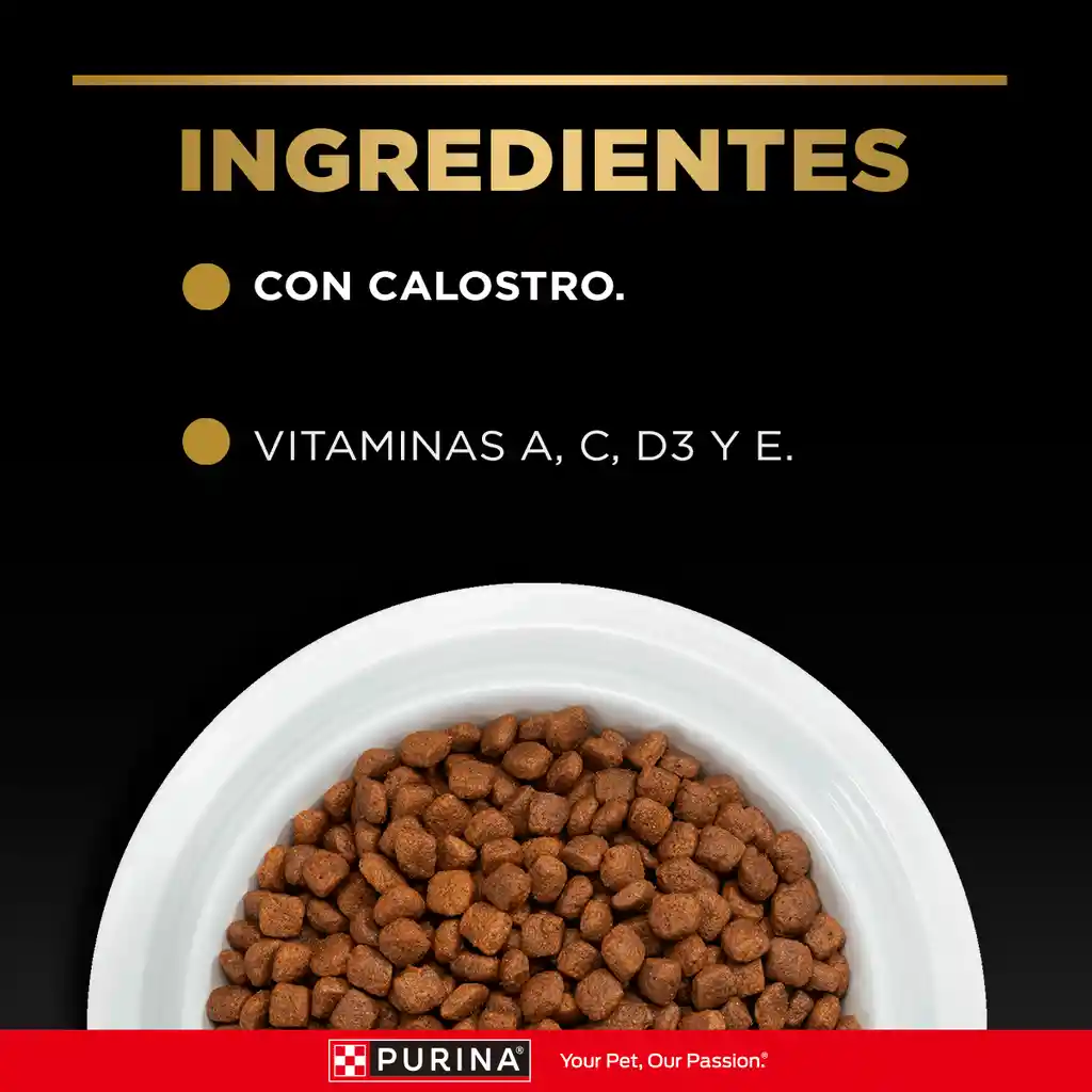 Comida para Gatitos Purina Pro Plan x 7,5 kg