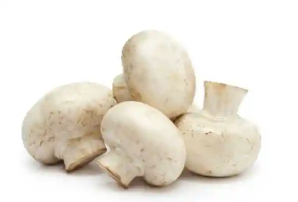 Champiñón Entero Blanco