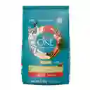 Comida para Gato Pollo y Carne Purina One x 2kg