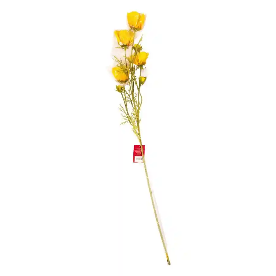 Rama Artificial House & Home Color Amarillo 456-512246