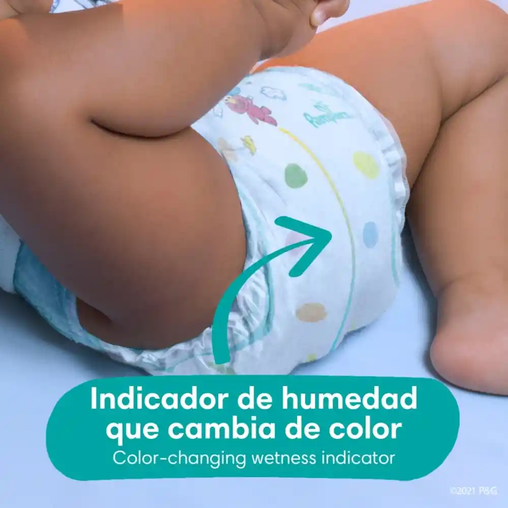 Pampers Pañales Baby-Dry, Talla 6 x 96 Unidades