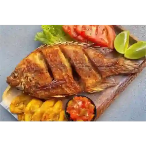 Mojarra