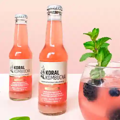 Koral Kombucha Tropical