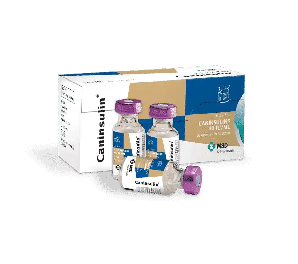 Caninsulin Suspensión para Inyección (40.00 Ui / 1.00 Mg)