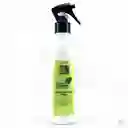 Salon In Termoprotector en Spray Recamier Vegan Keratin