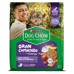 Alimento Perro Cachorros Minis y Pequeños Purina Dog Chow