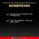 Comida húmeda para perros adultos sabor apollo Purina Pro Plan x 100gr