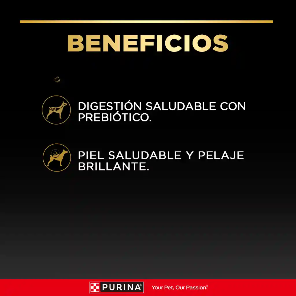 Comida húmeda para perros adultos sabor apollo Purina Pro Plan x 100gr