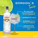 Gordon's Dry Gin 700ML