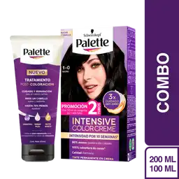 Combo Tinte Palette Color Creme 1-0 Negro + Tratamiento