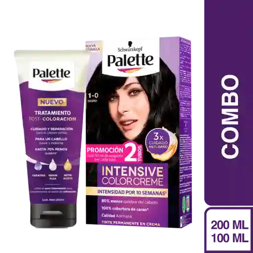 Combo Tinte Palette Color Creme 1-0 Negro + Tratamiento