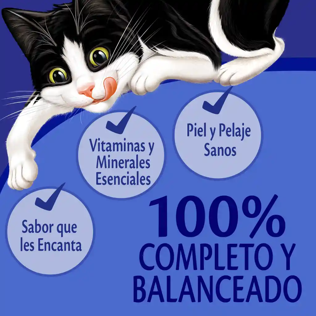 Comida para Gato FELIX Pack Surtido x8 - Sobres